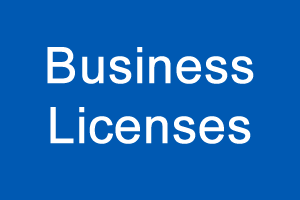 Business Licenses